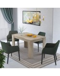 MESA DE COMEDOR EXTENSIBLE MIGUEL